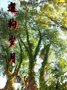 遛狗的唯美句子