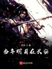 当年明月是什么