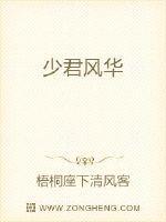 少君啥意思