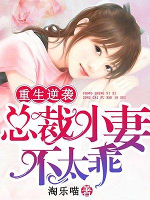 重生总裁小娇妻