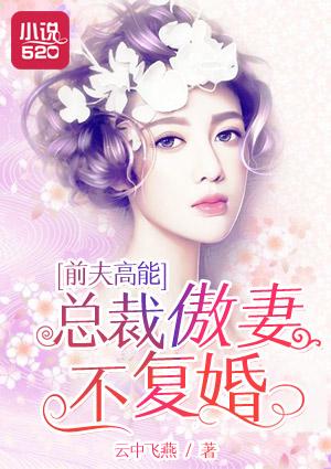 总裁前夫太傲娇