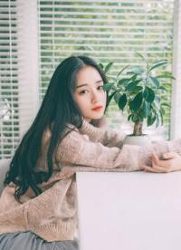 丞相追妻攻略