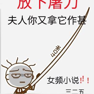 夫人你又拿它作甚完整版免费